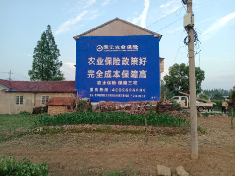 汝阳墙体广告的优劣势你知道吗？