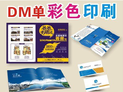汝阳单页印刷，色彩搭配简单。